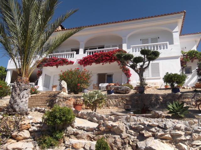 EL PINAR