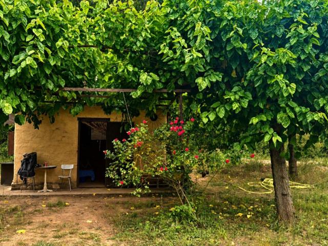 El rincón que buscabas en las Montañas de Prades: 3 fincas a la venta