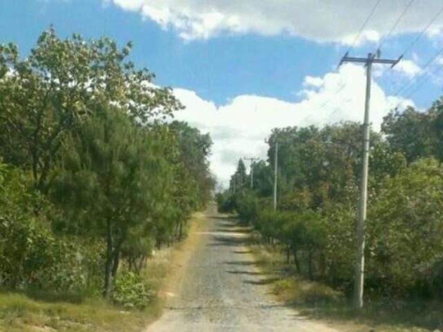 El Roble