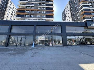 Elazığ Bulvarı, Yenişehir, Yenişehir, Diyarbakır, Diyarbakır ili, Güneydoğu Anadolu Bölgesi