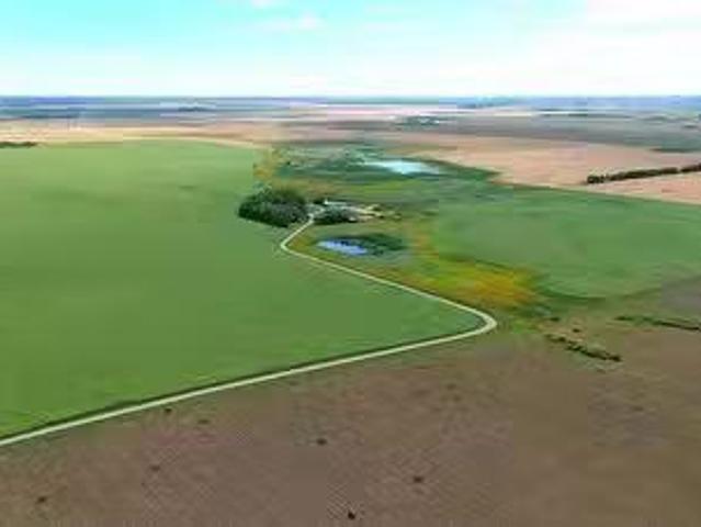 Elcapo Esterhuyse Farm, Elcapo Rm No. 154, SK, S0G 2B0 farm.