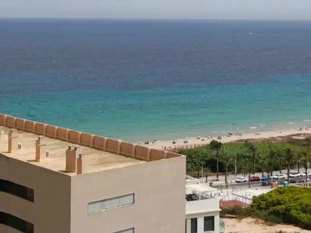 Elche / Elx