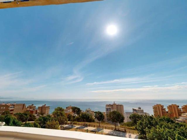 Elche / Elx