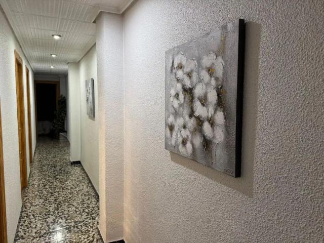 Elche / Elx