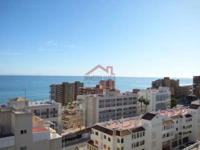 Elche / Elx
