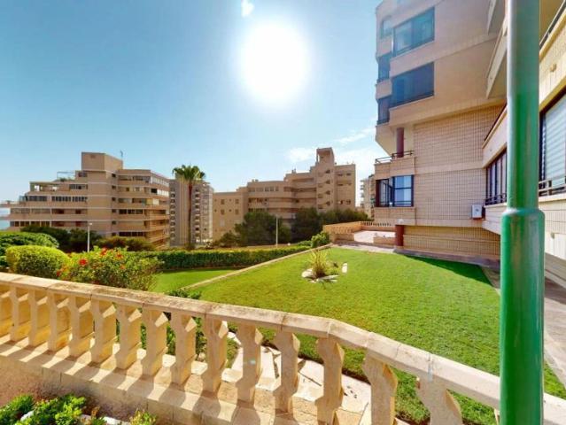 Elche / Elx