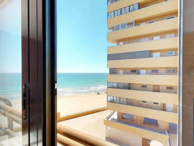 Elche / Elx