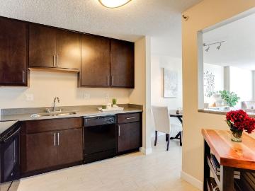 ELEVATE Apartment Homes 1 Bedroom Apartment for Rent at 1117 Marquette Ave, Minneapolis, MN 55403 Downtown West