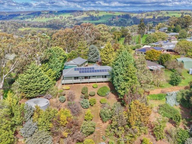 Elevate Your Lifestyle with Panoramic Views