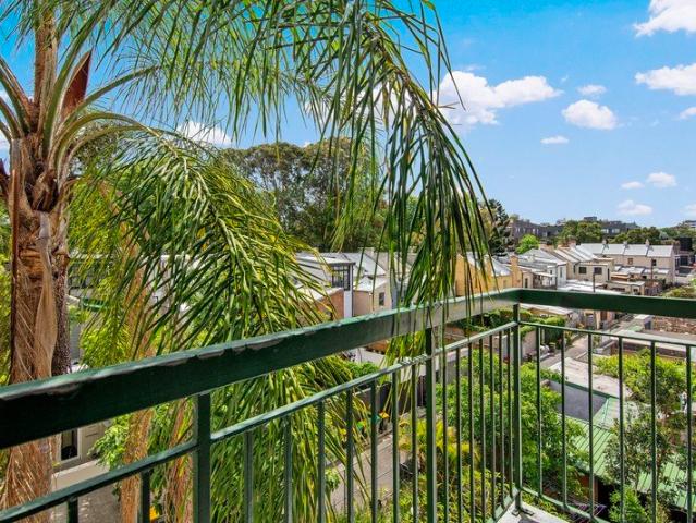 Elevated Treetop Living in a Prized Surry Hills Location
