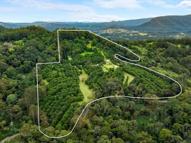 Elevated Valley Lifestyle
