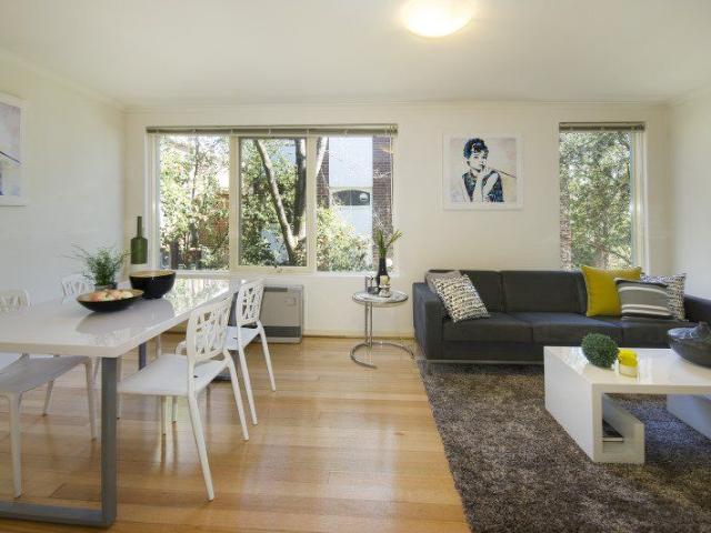 Elevated and bright 2 bedroom apartment
