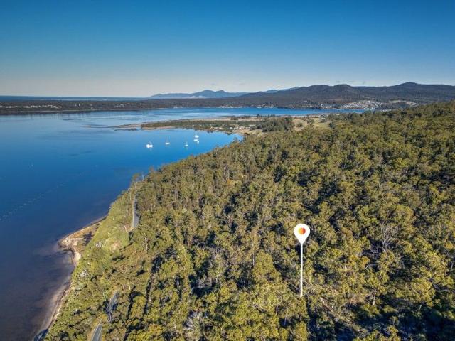 Elevated Bush Block 8.51ha of Untapped Opportunity