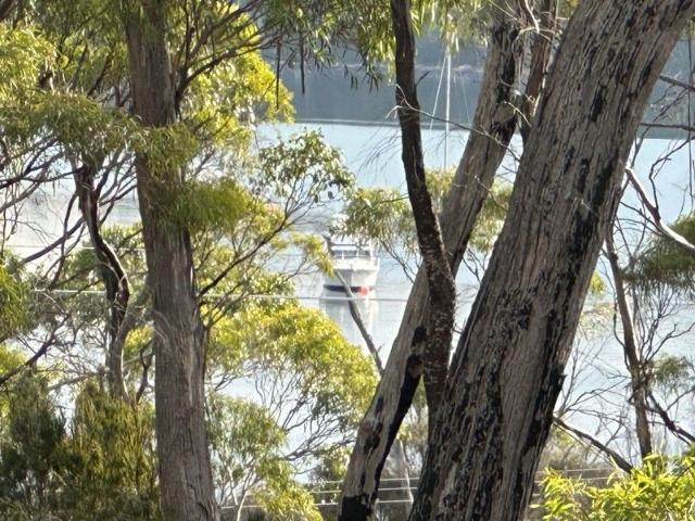 Elevated Coastal Bush Allotment in Tranquil Murdunna