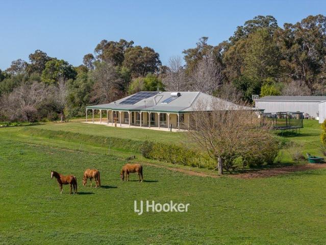 Elevated Country Living On 8.85 Acres