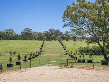 Bugle Ranges, Alexandrina County, South Australia