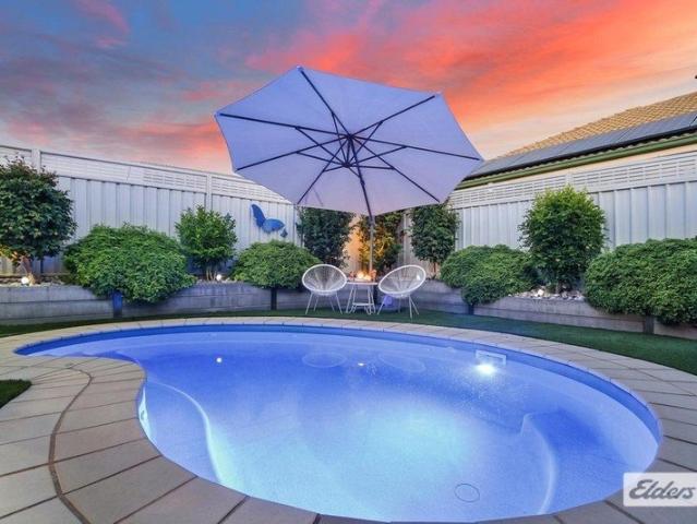 Elevated Family Entertainer Pool + 3 Living Zones