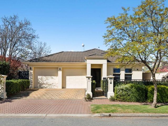 Elevated Family Living In A Prized Northgate Cul De Sac