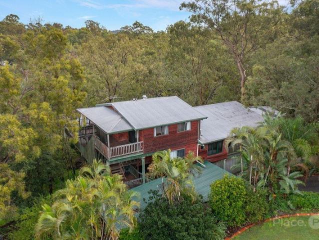 Elevated Family Living with Dual Accommodation in a Private Bushland Setting