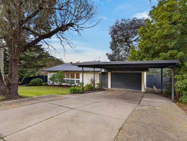 Elevated Family Living with Poolside Entertaining in the Heart of Belair