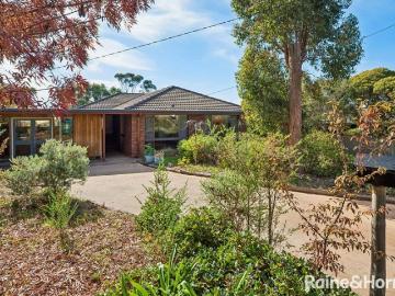New Price guide View This Saturday Elevated Family Sanctuary with Studio in Coveted Coulthard Street