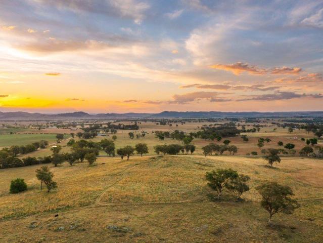 Elevated Grazing & Lifestyle Acres with Views and Dwelling Entitlement Just Minutes from Town