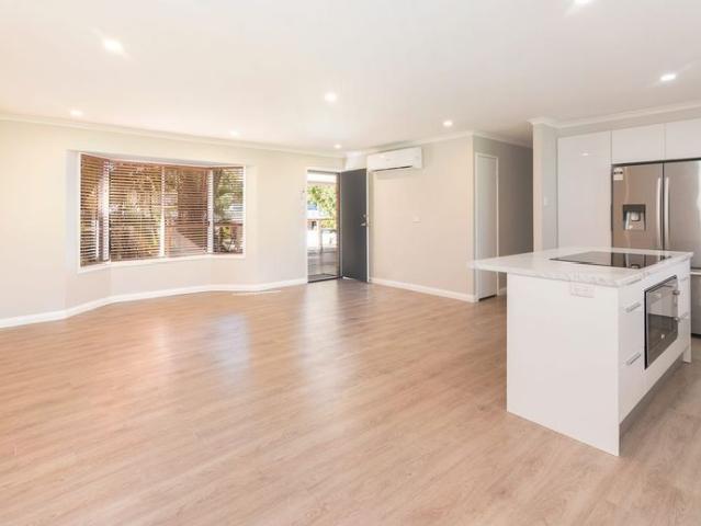 Elevated & Green: Renovated 4 bed with Enormous Year Round Deck