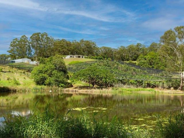 Elevated Hinterland Haven: 30 Acres of Lifestyle, Farmlet & Income Potential
