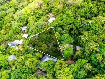 Kamerunga, Barron, Cairns Regional, Low Island, Queensland, Queensland