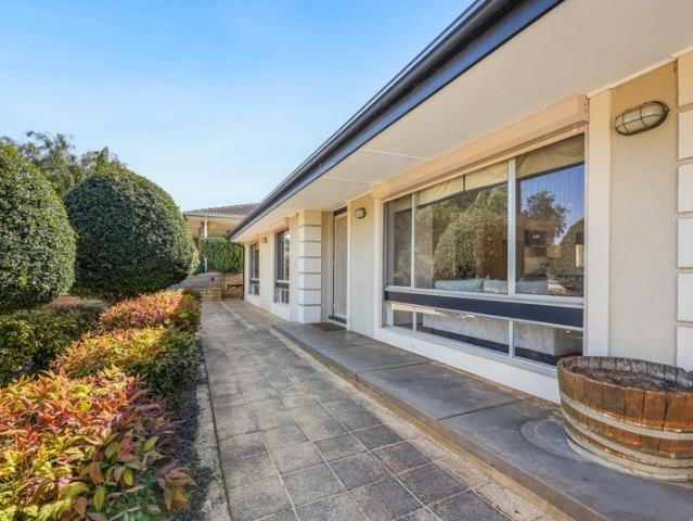 Elevated Living in a Leafy Redwood Park Setting