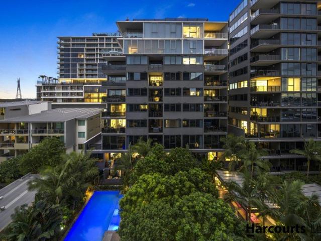 Elevated Living in the Heart of Newstead