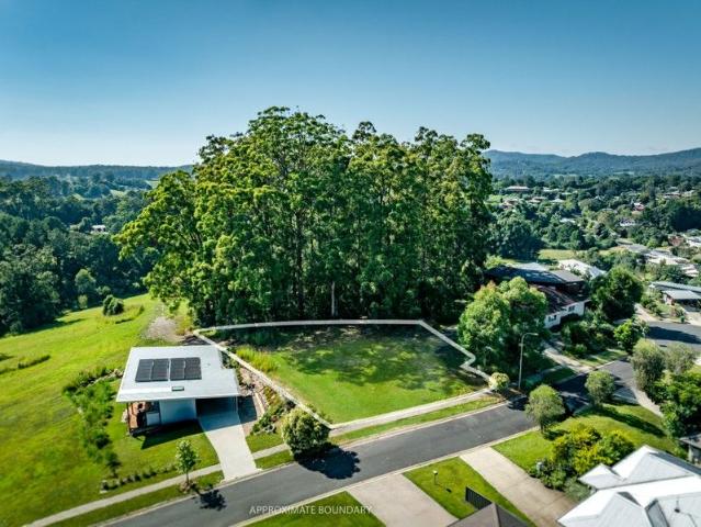 Elevated Living with Mountain Views Ready for Your Dream Home