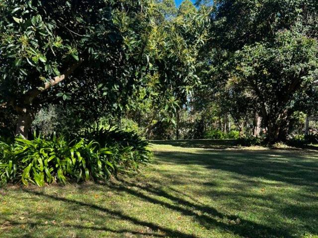 Elevated & Private Lifestyle Block in the Heart of Blackbutt