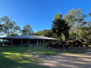 Elevated Rainforest Seclusion