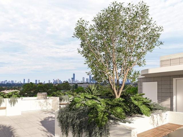 Elevated Skyline Views