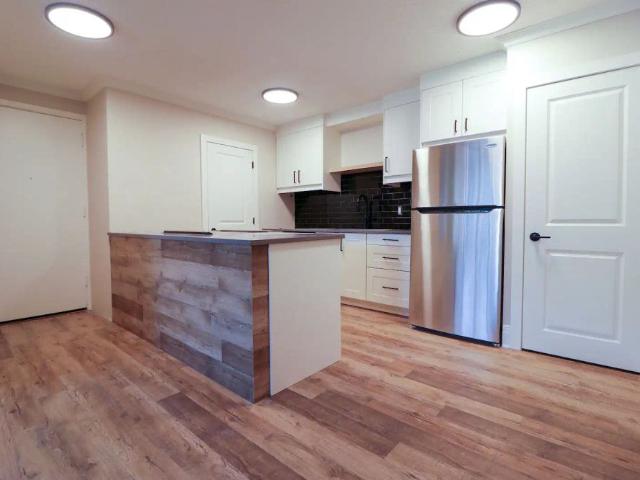 Elevation Luxury Homes 2 Bedroom Fully Renovated — 2 Bedrooms Condo Unit