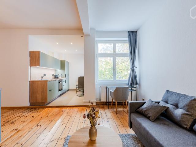 Elegant and Modern 1 Room Apartment with Smart Layout in Prenzlauer Berg, Berlin, Berlin Amsterdam Apartments for Rent