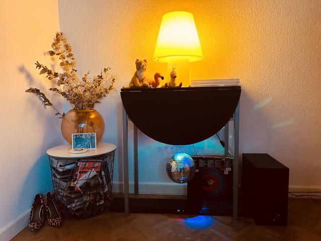 Elegant apartment in Prenzlauer Berg with home cinema, Berlin Amsterdam Apartments for Rent