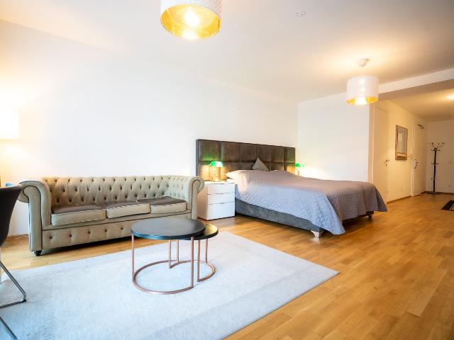Elegant apartment near the town hall/parliament