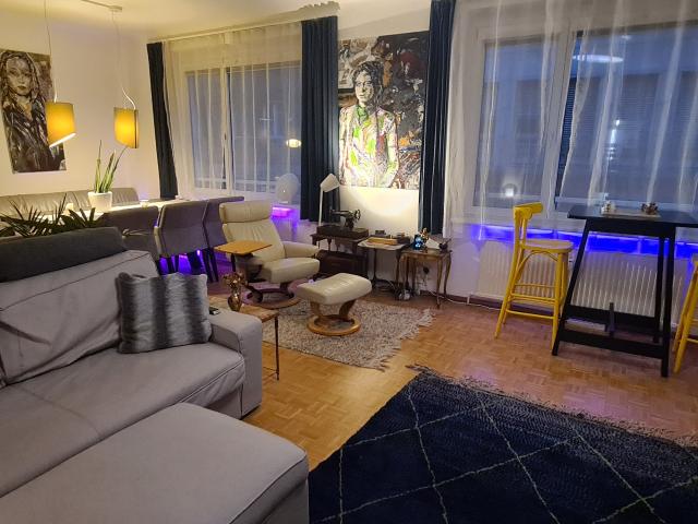 Elegant Art Apartment in the Heart of Vienna Walk to Stephansplatz