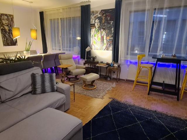 Elegant Art Apartment in the Heart of Vienna Walk to Stephansplatz, Vienna Amsterdam Apartments for Rent