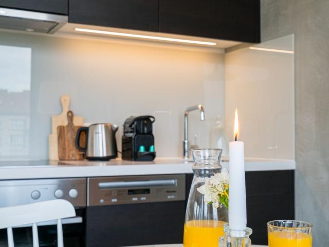 Elegant compact apartment for price conscious Vienna travelers with high living standards, Vienna Amsterdam Apartments for Rent