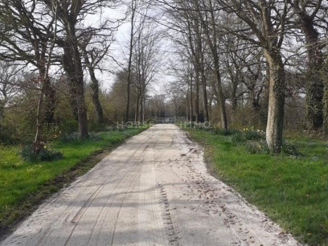 Élégant domaine Xviii avec écuries et 18 ha 240m² Sainte Mère Eglise