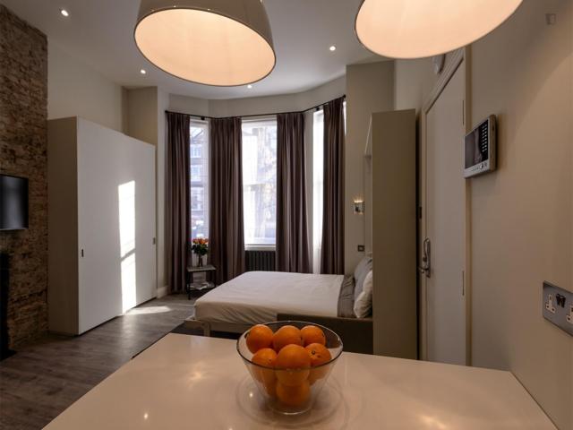 Elegant studio in Hampstead Has an Apartment