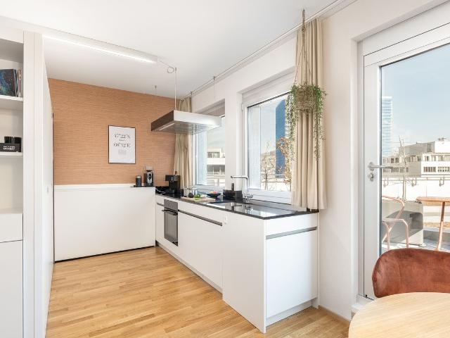 Elegant Serviced Loft with Private Terrace in Zurich Altstetten, Zurich Amsterdam Apartments for Rent