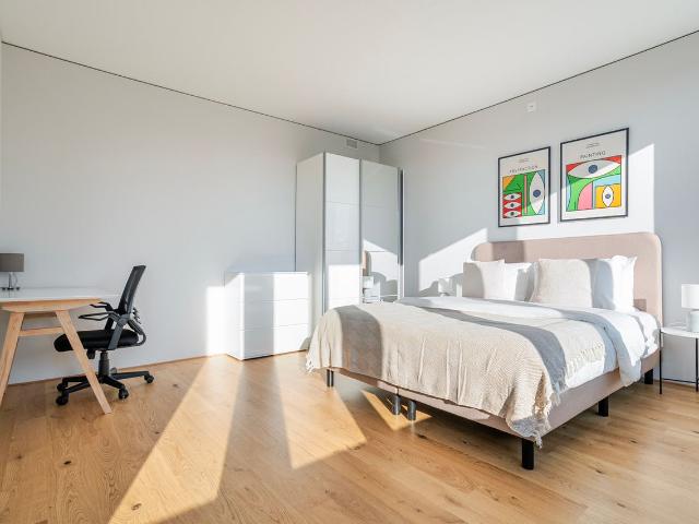 Elegant 1 Bedroom Furnished Apartment in Basel Vorstaedte, Basel Amsterdam Apartments for Rent
