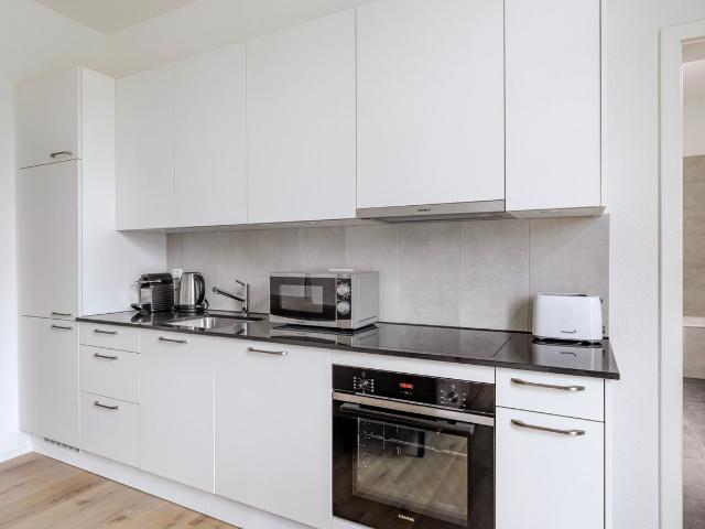 Elegant 1 Bedroom Furnished Apartment in Seebach, Zurich Amsterdam Apartments for Rent