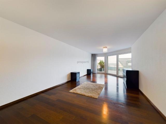 Elegant 3.5 room terrace apartment with lake view and high quality interior design in Pfäffikon SZ