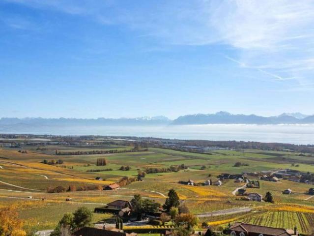 Elegante Villa mit Panoramablick auf den Genfersee und die Alpen