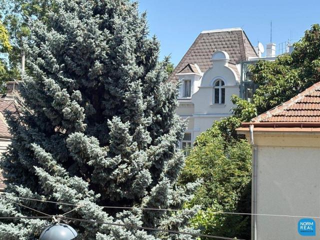 Elegante Altbauetage mit Klopfbalkon